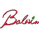 Balwin Properties aplikacja