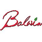 Balwin Properties ikona