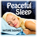 Peaceful Sleep Nature Sounds APK