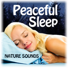Peaceful Sleep Nature Sounds icône