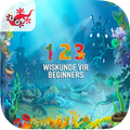 Wiskunde vir Beginners in afrikaans