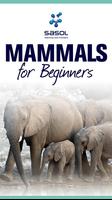 Sasol Mammals for Beginners الملصق