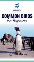 Poster Sasol Birds for Beginners