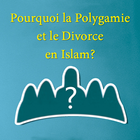 La Polygamie et le Divorce ikon