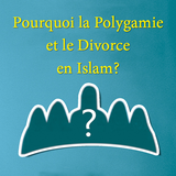 La Polygamie et le Divorce иконка
