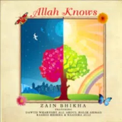 Zain Bhikha - Allah Knows APK download