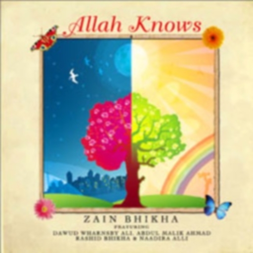 Zain Bhikha - Allah Knows