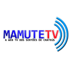 Mamute TV icône