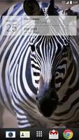 Zebra Chewing Live Wallpaper capture d'écran 2