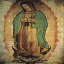 Holy Rosary of the Virgin Mary APK
