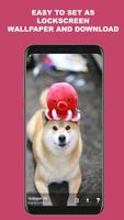 Dog Puppy Puppies Wallpapers screenshot 2