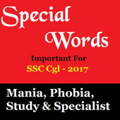 Special Words icon