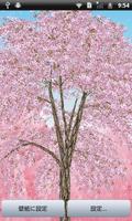 Real 3D Sakura Affiche
