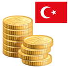 来自奥斯曼帝国的硬币 图标