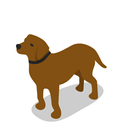 Liste over hunderaser APK