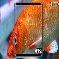 3D koi fish HD wallpaper 4k screenshot 1