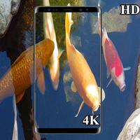 3D koi fish HD wallpaper 4k capture d'écran 2