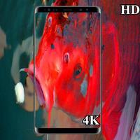 3D koi fish HD wallpaper 4k capture d'écran 3