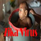 Zika and Pregnancy иконка