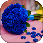 Blue Roses Wallpapers icône