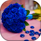 Blue Roses Wallpapers simgesi