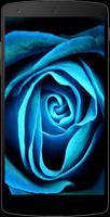 Blue Roses Wallpapers Screenshot 2