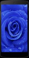 Blue Roses Wallpapers Ekran Görüntüsü 3