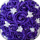 Purple Roses Wallpapers APK