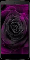 Purple Roses Wallpapers Screenshot 1