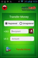 NettCash screenshot 1