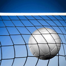 Volleyball Training Workout APK