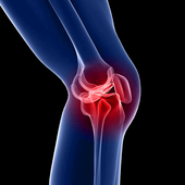 Knee Medical Workout icon