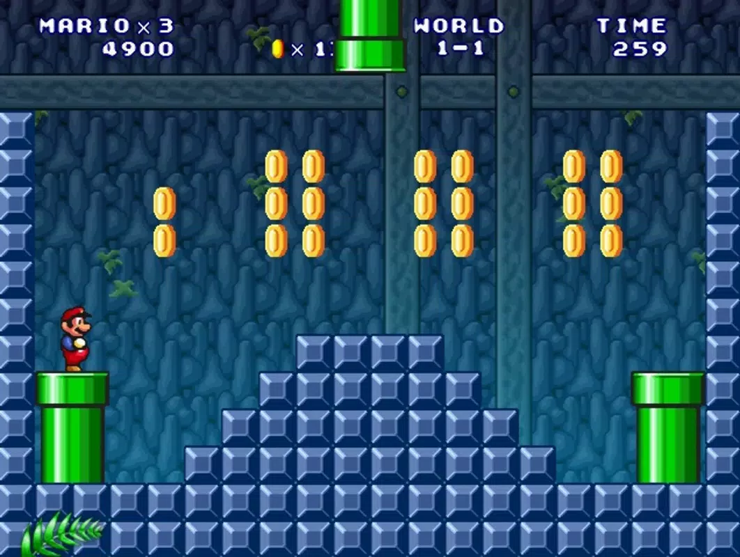 Super Mario 3: Mario Forever
