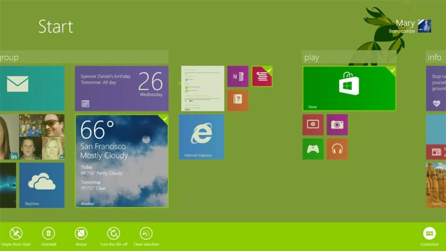 Windows 8.1