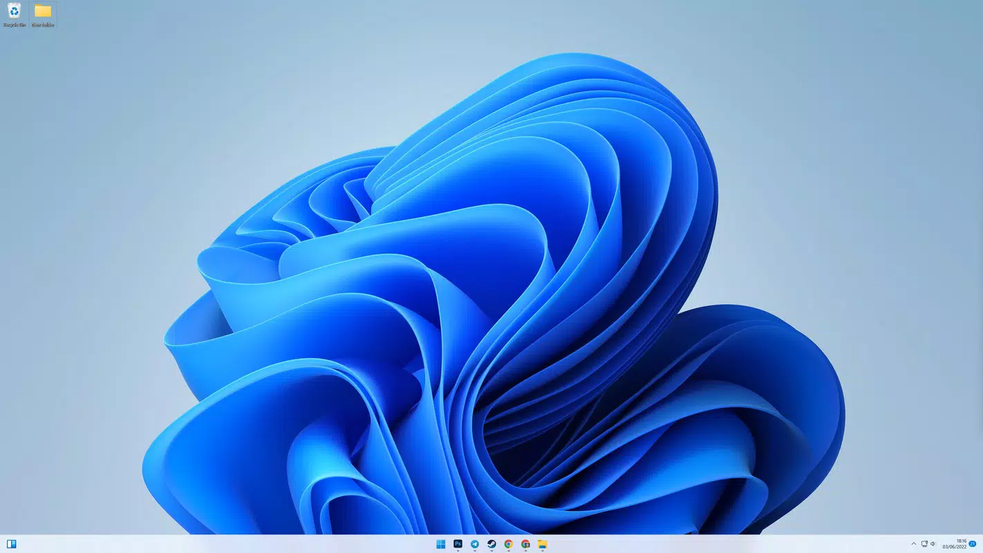 Windows 11