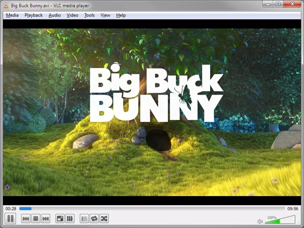Portable VLC Media Player