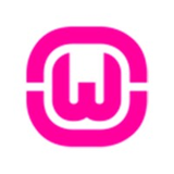 WampServer icon
