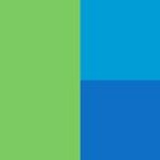 RaiDrive icon