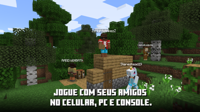 Minecraft: jogue com amigos! Cartaz