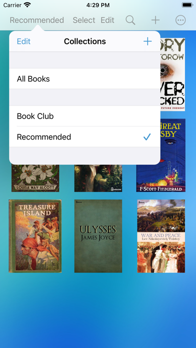 Bluefire Reader Plakat