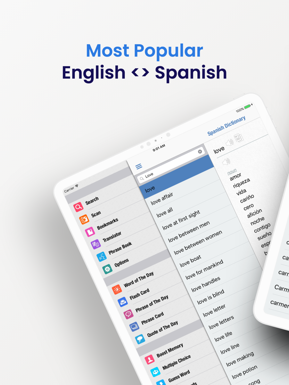 Spanish Dictionary + poster