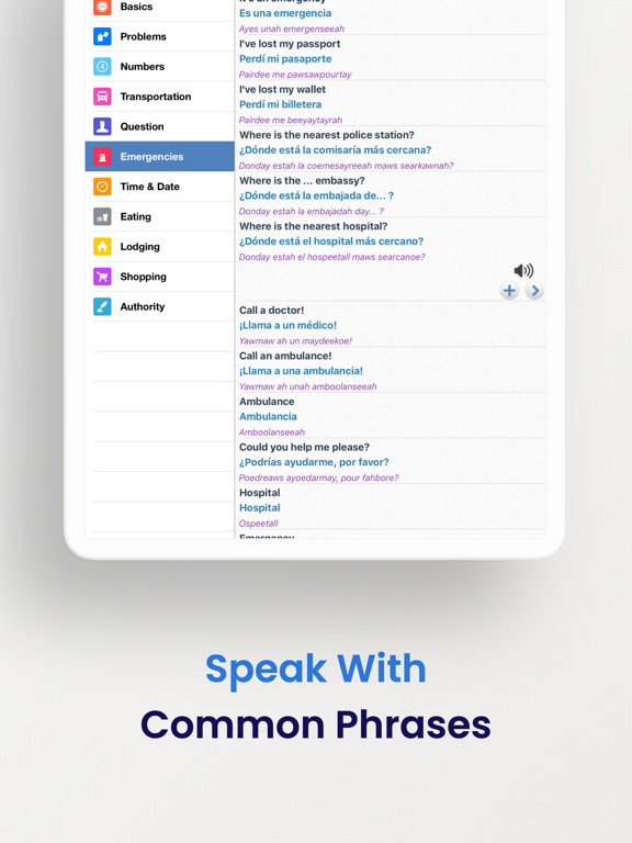 Spanish Dictionary + poster