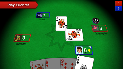 Euchre 3D poster