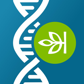 AncestryDNA: Genetic Testing