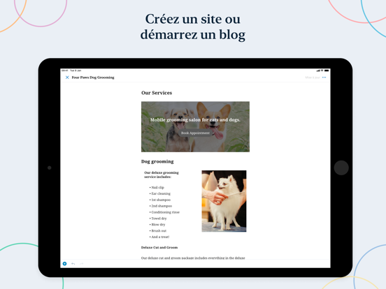 WordPress - Création de sites Affiche
