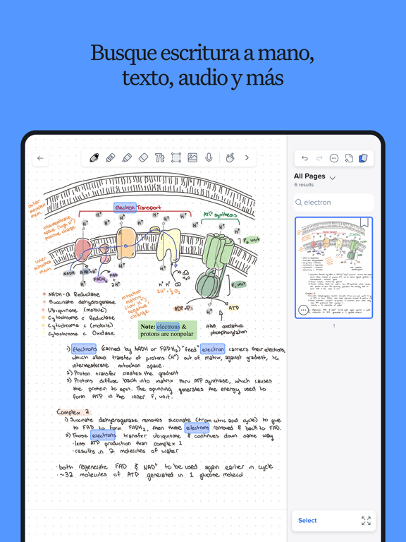 Notability: Notas, PDF, Doc الملصق