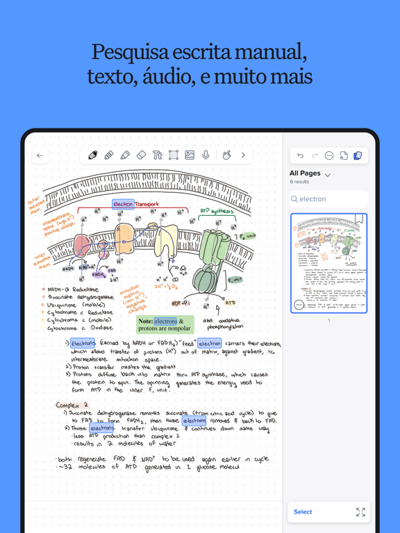 Notability: Notas, PDF, Docs Cartaz