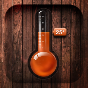 溫度計-實時精準監測室內外溫度及濕度