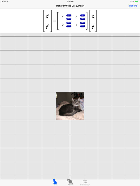 Transform the Cat poster