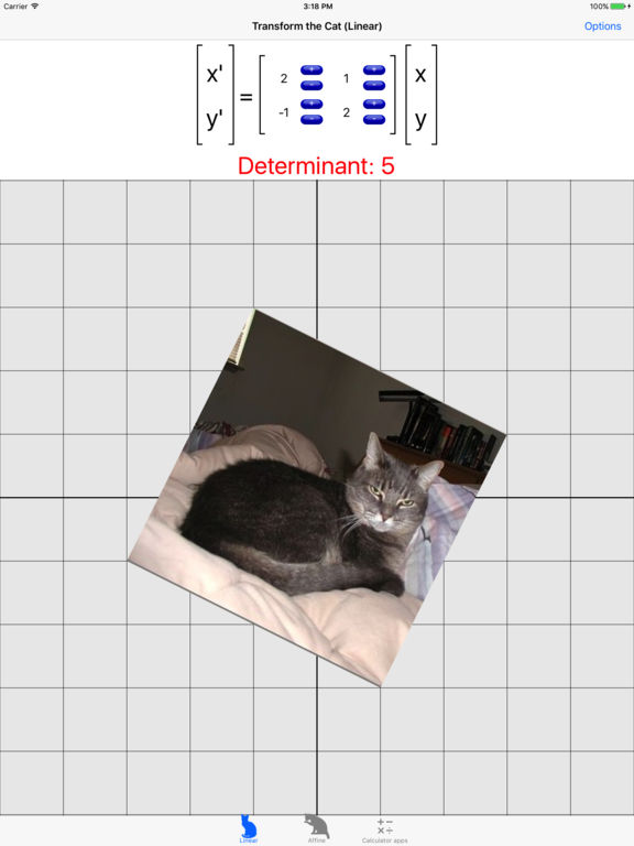 Transform the Cat poster